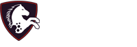 Max Access by Online ADA logo