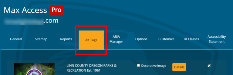 A screenshot of the Max Access dashboard, highlighting the Alt Tags tab