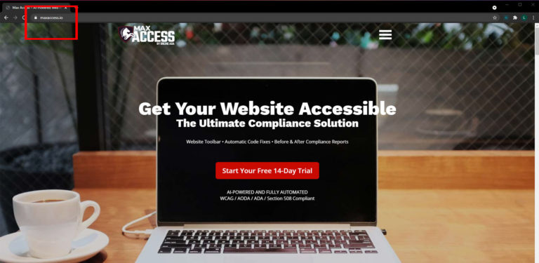 A screenshot of the Max Access homepage, highlighting the URL of the website at the top of the screen