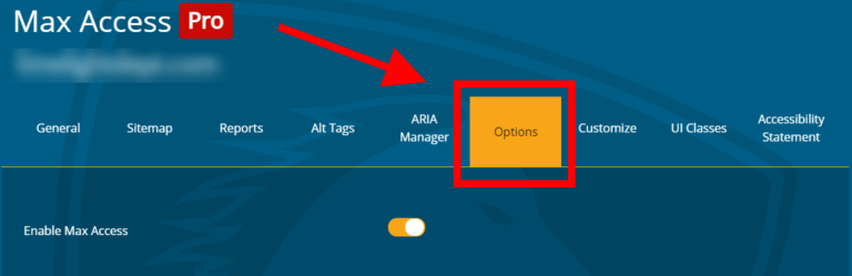 A screenshot of the Max Access dashboard, highlighting the Options tab where users can adjust the default settings for the Accessibility Toolbar.